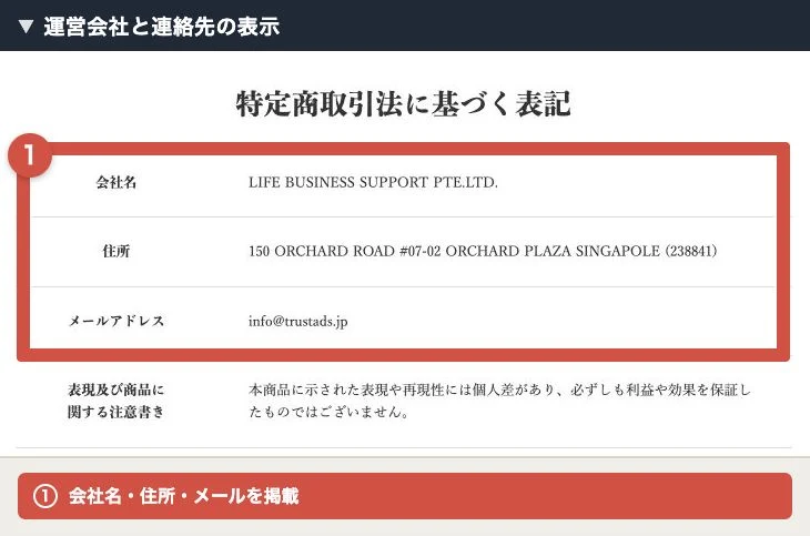 LIFE BUSINESS SUPPORTの会社名と海外住所とメール