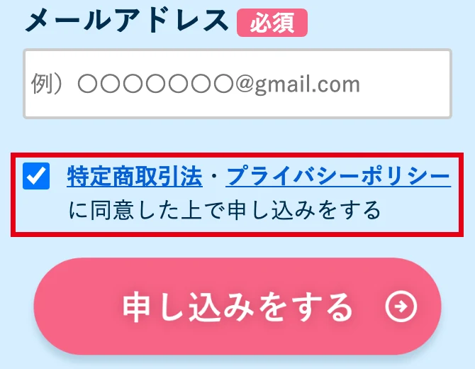 販売ページの申込みボタンの上にある「特定商取引法・プライバシーポリシーに同意した上で申し込みをする」の欄に、最初からチェックが入っている画面