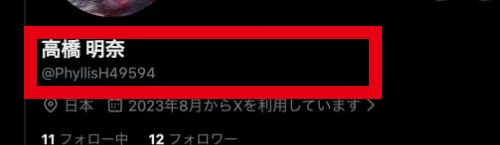 LINEグループから案内されたXに高橋明奈とPhyllisH49594が表示されたプロフィール