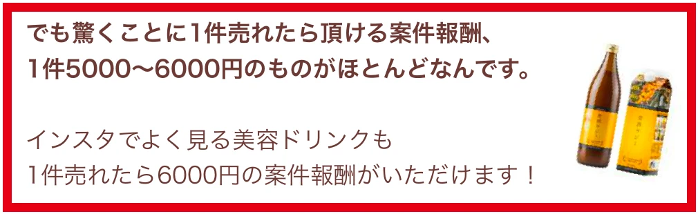 電子書籍で紹介される5000〜6000円の報酬と美容ドリンク6000円の例