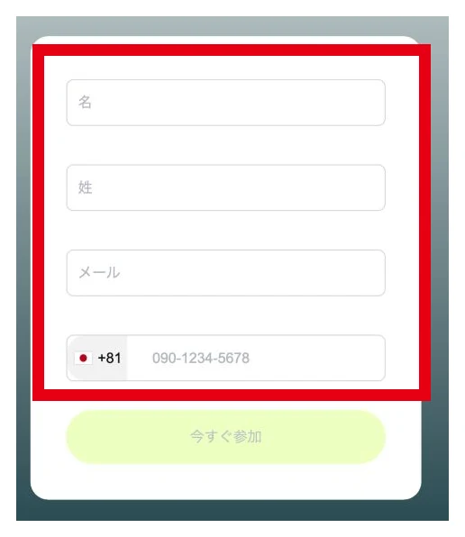 投資の登録先に並ぶ名姓メール電話番号の入力欄