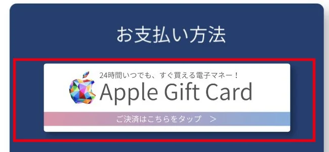 PRIVATEの契約料支払い方法としてApple Gift Cardを案内する画面