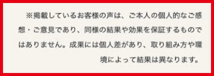 掲載した利用者の声について成果の保証ではなく個人差があると説明する注意書き