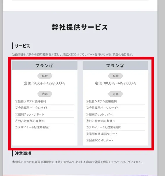 ライトプラン29万8,000円とフルサポートプラン49万8,000円の料金表