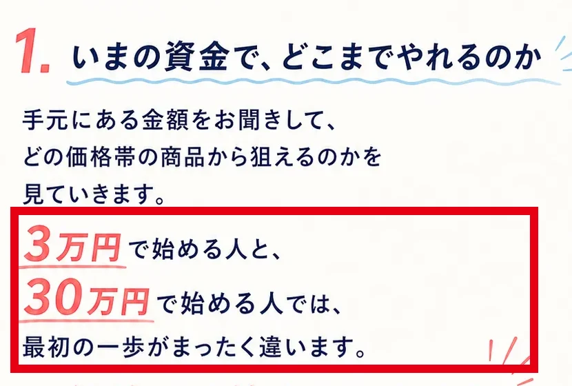 個別相談では手元の資金を聞き3万円と30万円で始め方が違うと説明する画面