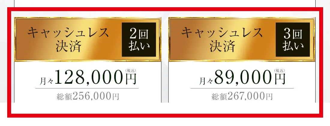 PLUTUS GATEの2回払いと3回払いの総額