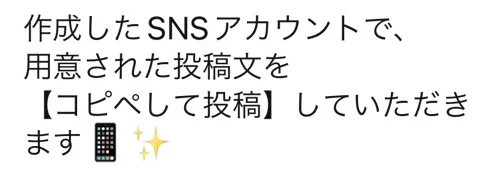 SNSアカウントを用意し指定の文章を投稿すると説明されている